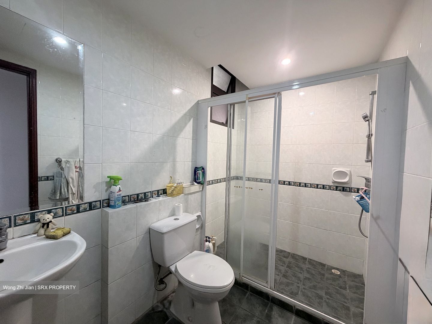 Seletaris (D27), Condominium #558807781